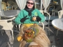 2012 Fasnet