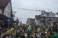 IMG-20180211-WA0009
